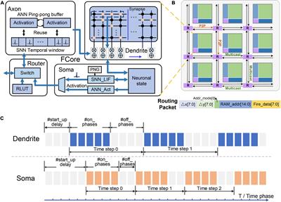 End-to-End Implementation of Various Hybrid Neural Networks on a Cross-Paradigm Neuromorphic Chip